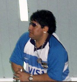 pumas2001.jpg